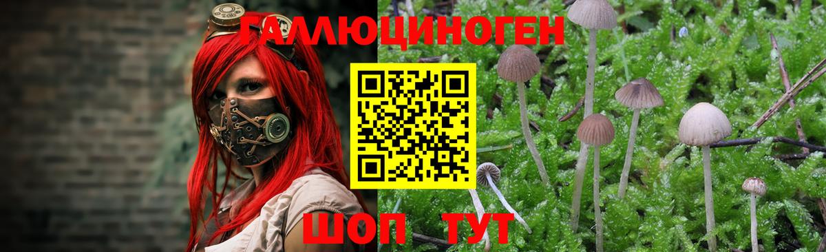 Обь  Галлюциногенные грибы мухоморы  Вход с VPN  Галлюциногенные грибы мицелий 